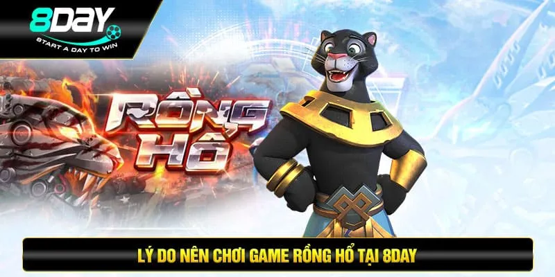 Lý do nên chơi game rồng hổ tại 8DAY