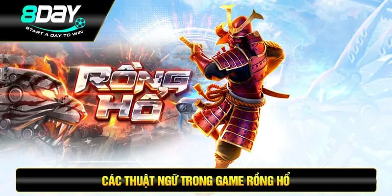 Các thuật ngữ trong game rồng hổ